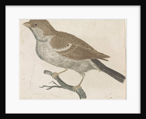 Sparrow on a branch to the left by Anonymous