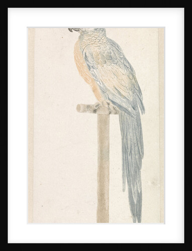 Parrot on stick by Johan Teyler