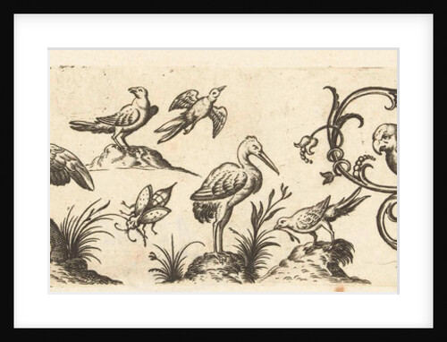 Frieze with twelve birds by Hans Collaert I