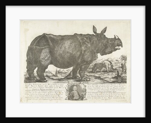 The rhinocerus Clara, 1741 by Johann Georg Schmidt