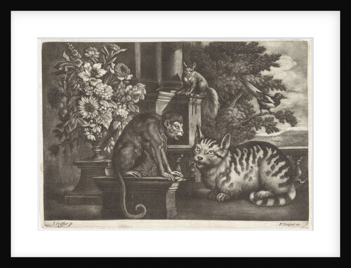 Monkey, cat, squirrel and magpie by Pierce Tempest