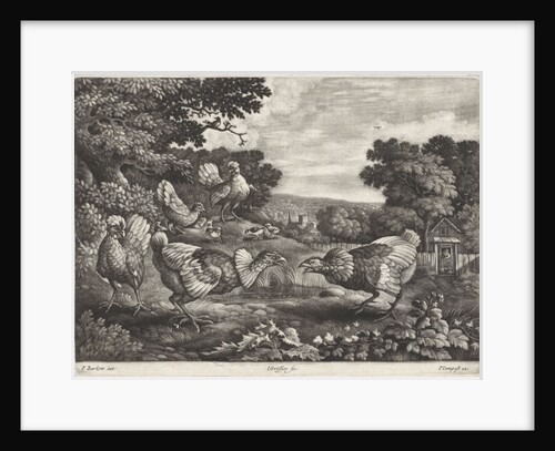 Fighting chickens by Pierce Tempest