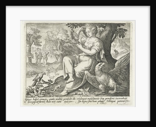 Sight by Nicolaes de Bruyn