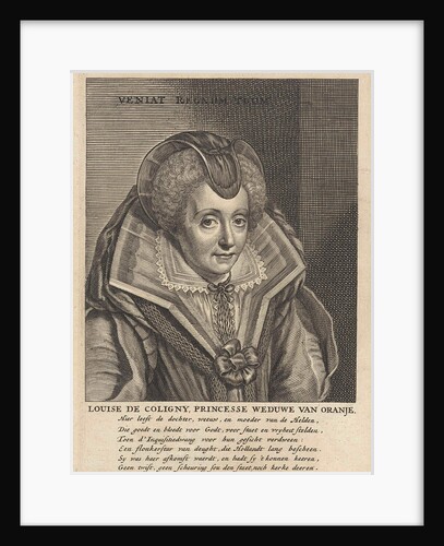 Portrait of Louise de Coligny, Fourth wife of William I of Orange by Geeraert Brandt I