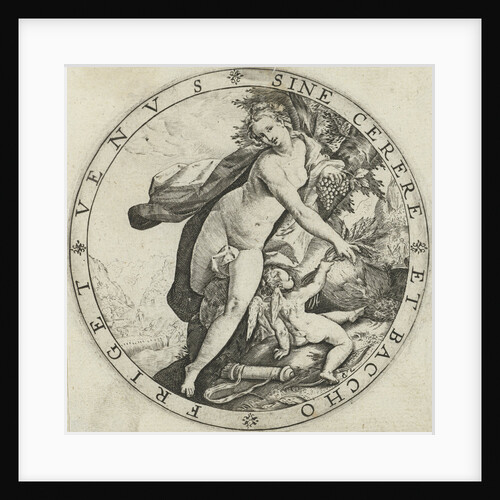 Venus and Cupid by Hendrick Goltzius