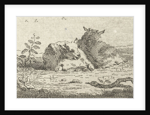 Two reclining sheep by Jan van der Meer II