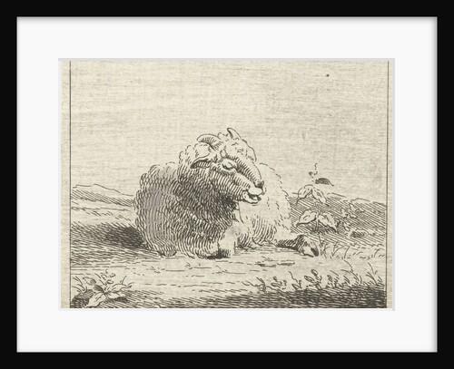 Lying sheep by Jan Matthias Cok