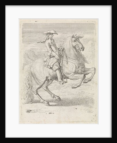 Rider lets his horse rearing by Dirk Maas