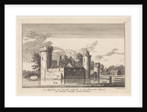 View of the ruins of castle Aalst, Gelderland by The Netherlands