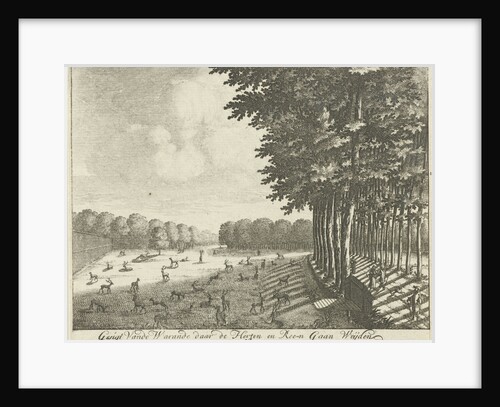 Hertenkamp of Soestdijk Palace by Anonymous