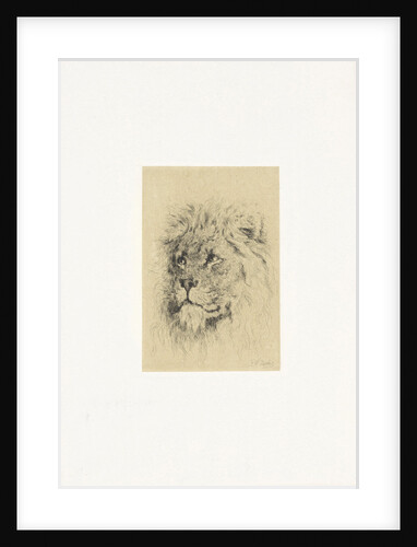 Head of a lion by Frederick Willem Zurcher