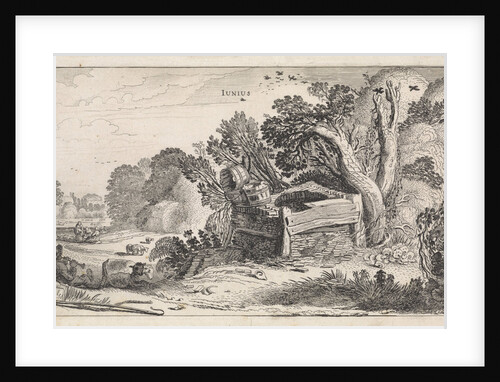 June by Jan van de Velde II