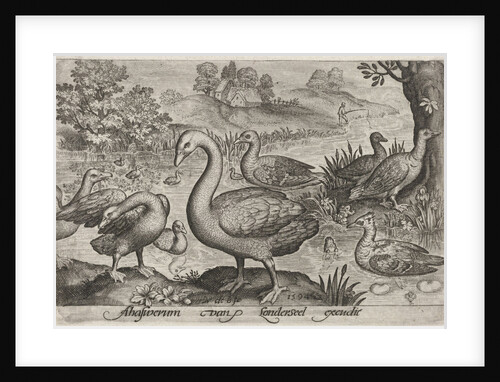 Swan and geese and ducks near to water by Nicolaes de Bruyn
