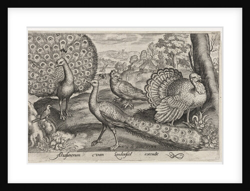 Two Peacocks and turkey, Germany by Nicolaes de Bruyn