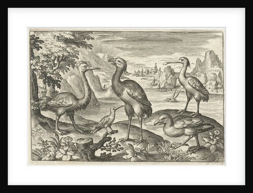 Five birds including spoonbill by Nicolaes de Bruyn