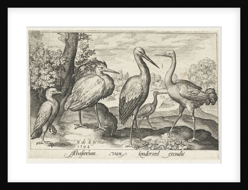 Stork, crane, heron and spoonbill by Nicolaes de Bruyn