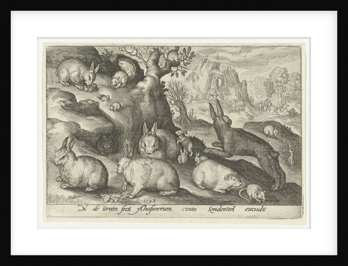 rabbits, squirrel, guinea pig and mouse by Nicolaes de Bruyn