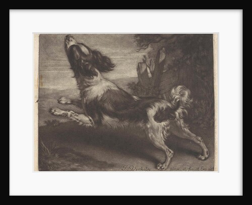 Racing dog, possibly a spaniel by Jan Verkolje I