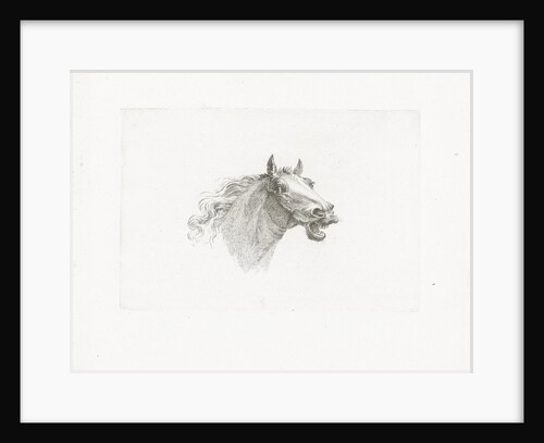 Horse head with open mouth, right by Gerrit Malleyn