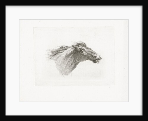 Horse head by Gerrit Malleyn