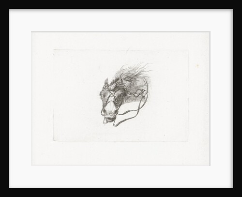 Horse head with flowing mane by Gerrit Malleyn