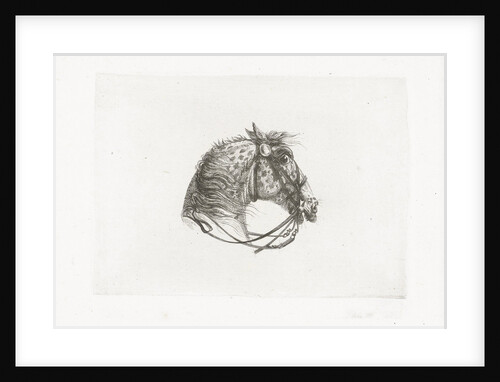 Horse Head by Dirk Langendijk