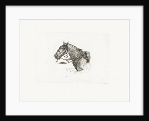 Horse Head, left by Dirk Langendijk