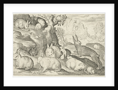 rabbits, squirrel, guinea pig and mouse by Nicolaes de Bruyn