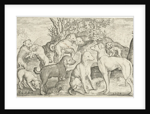 Nine dogs by Nicolaes de Bruyn