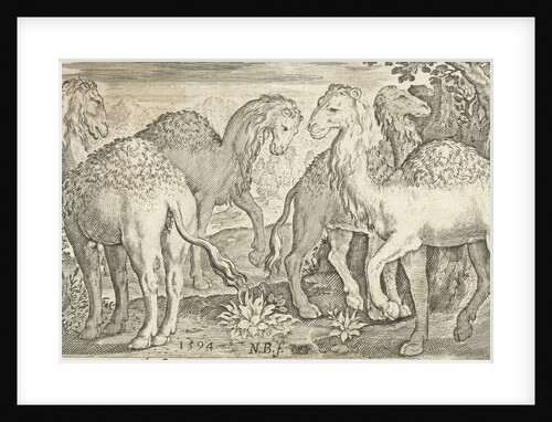 Four humpbacks by Nicolaes de Bruyn