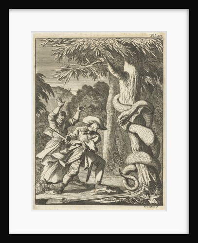 Giant Serpent, wound around a tree, attacked by a man with ax by Willem van de Water