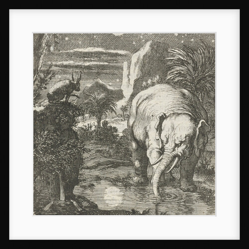 Hare and elephant with a full moon near a spring by Aart Wolsgrein