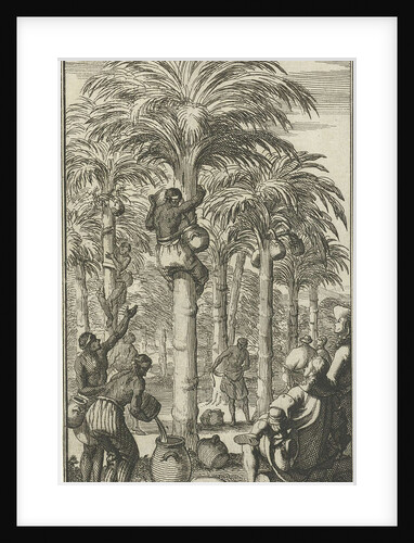 Obtaining palm wine in India by Charles Angot