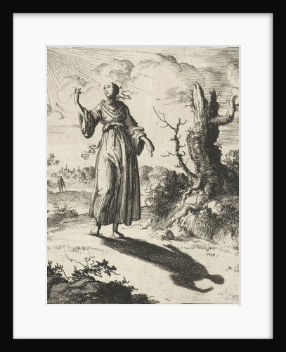 Female beholds her own shadow by Pieter Arentsz II