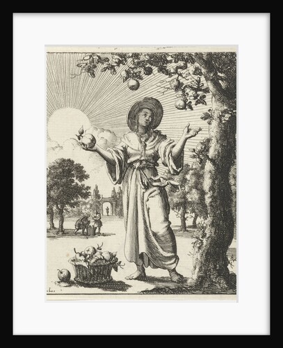 Woman collects fruits by Pieter Arentsz II