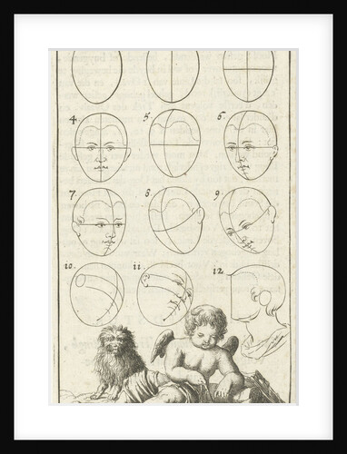 Twelve heads in different positions, labeled 1-12 by Willem Goeree