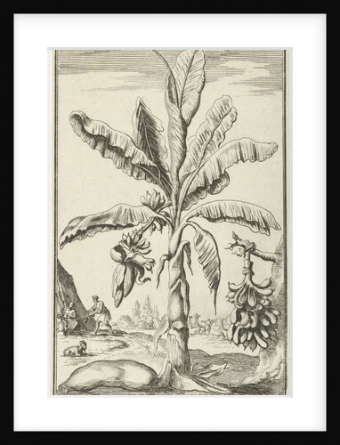 Tree with mandrakes by Willem Goeree