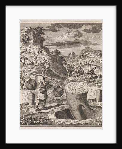 Treatment of a root in order to obtain asafoetida by H.W. Meyer