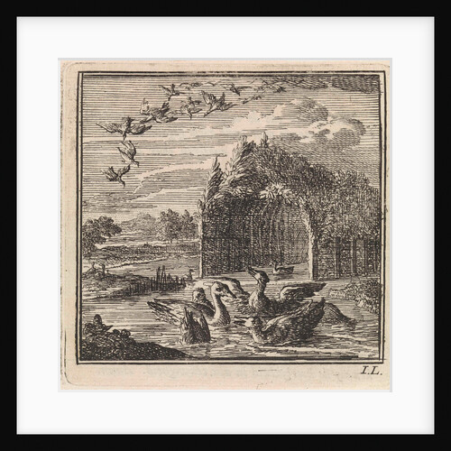 Wild and domestic ducks by Pieter Arentsz & Cornelis van der Sys II