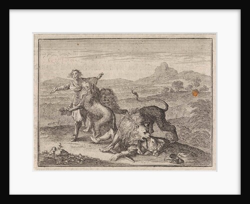 Two Abyssinian nobles being devoured by lions on the field that they ruined during their hunting by Frantz Martin Hertzen