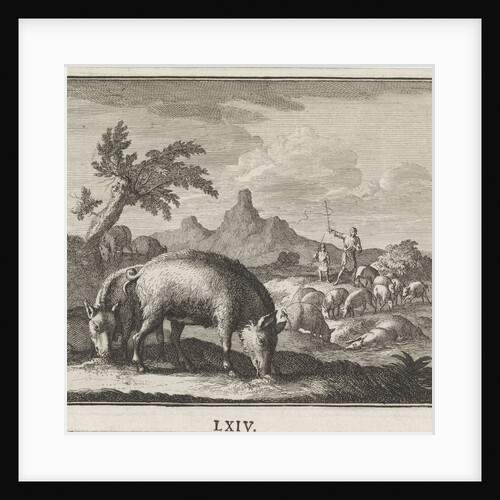 pig by Christoph Weigel