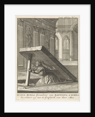 Suicide of Bianca di Rossi by Jan Luyken
