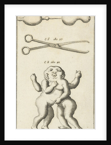 Anatomical image XV by Jan Claesz ten Hoorn