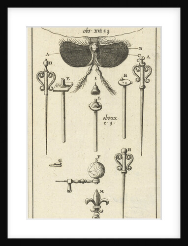 Anatomical image VIII by Jan Claesz ten Hoorn