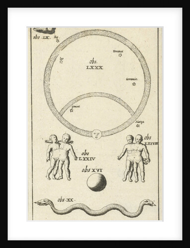 Anatomical figure IV by Jan Claesz ten Hoorn