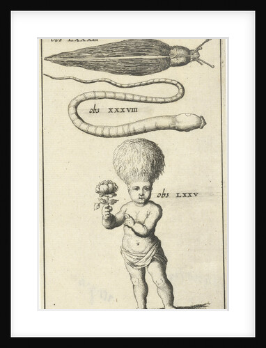 Anatomical figure III by Jan Claesz ten Hoorn