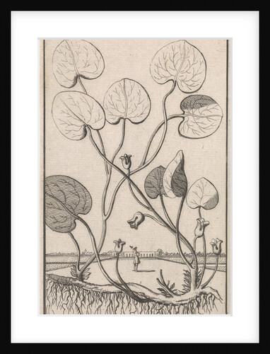 Mansoor by Jan Claesz ten Hoorn