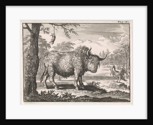 Bison, opposum and a pelican in an exotic landscape by Willem Broedelet
