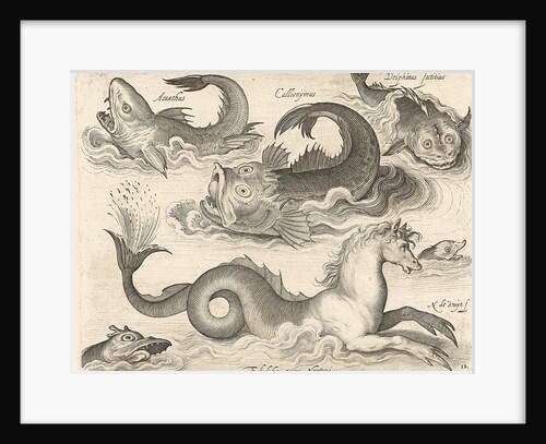 Fantastic invertebrates, including a seahorse by Nicolaes de Bruyn