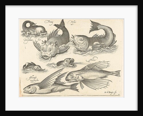 Fantastic invertebrates, including dolphin and dragonet by Nicolaes de Bruyn